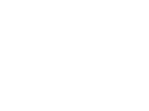 Team Ippon